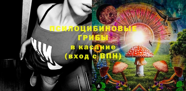 прущие грибы Алексеевка